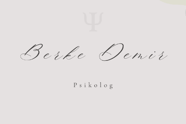 pskberkedemir
